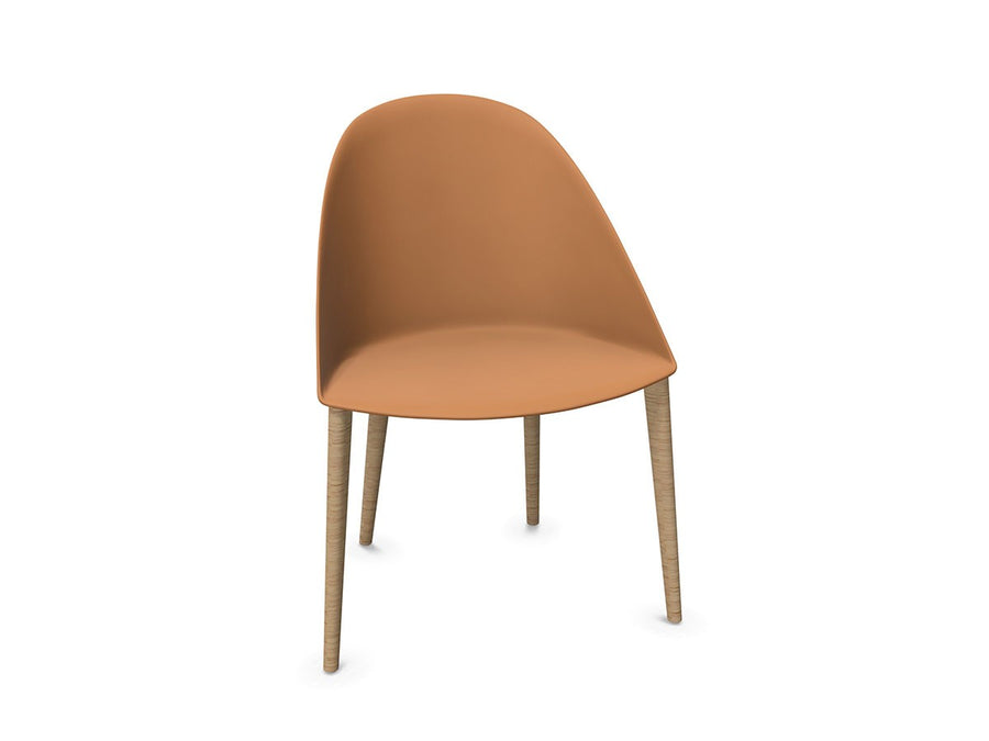 Cila Chair