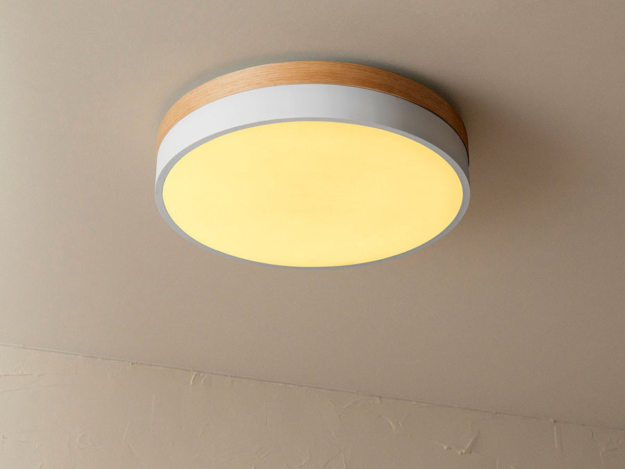 CEILING LIGHT