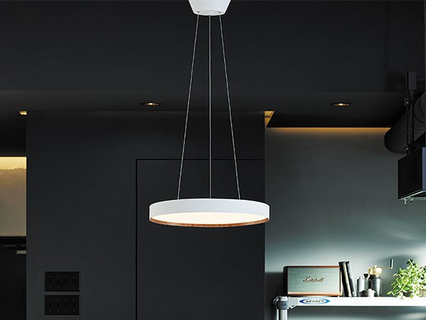 LED Pendant Lamp