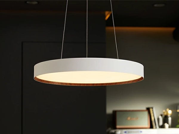 LED Pendant Lamp