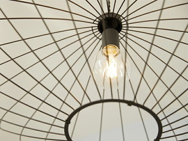 Pendant Light