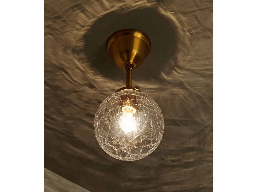 Ceiling Light