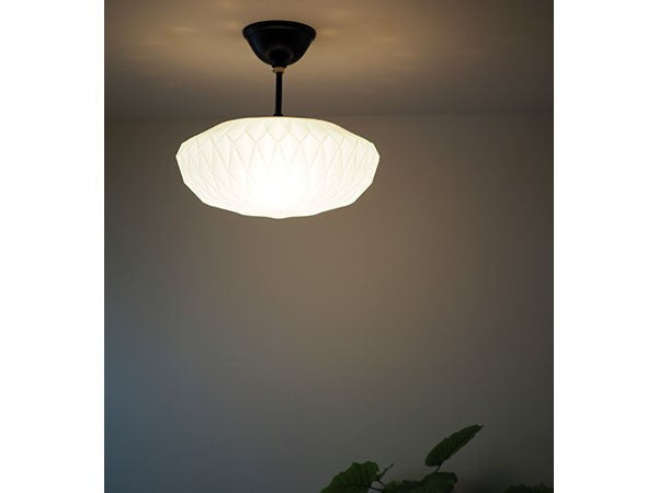 Ceiling Light