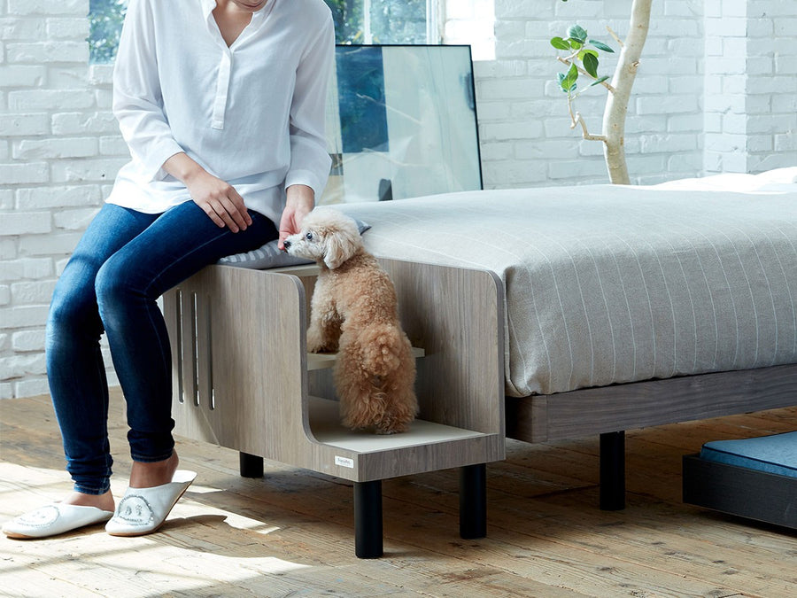 Pet Step Bench