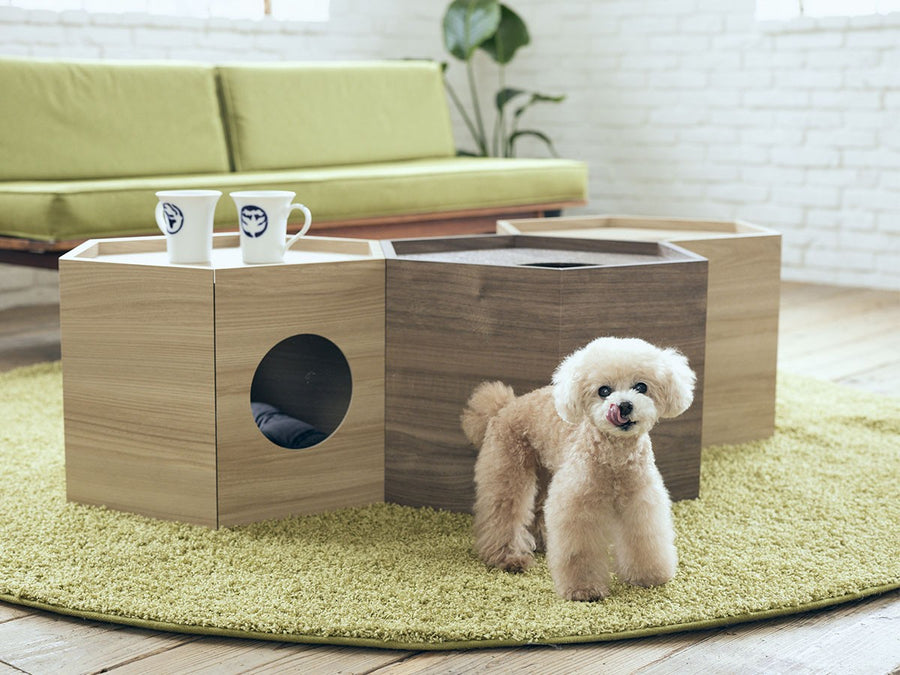 Pet House Hexa