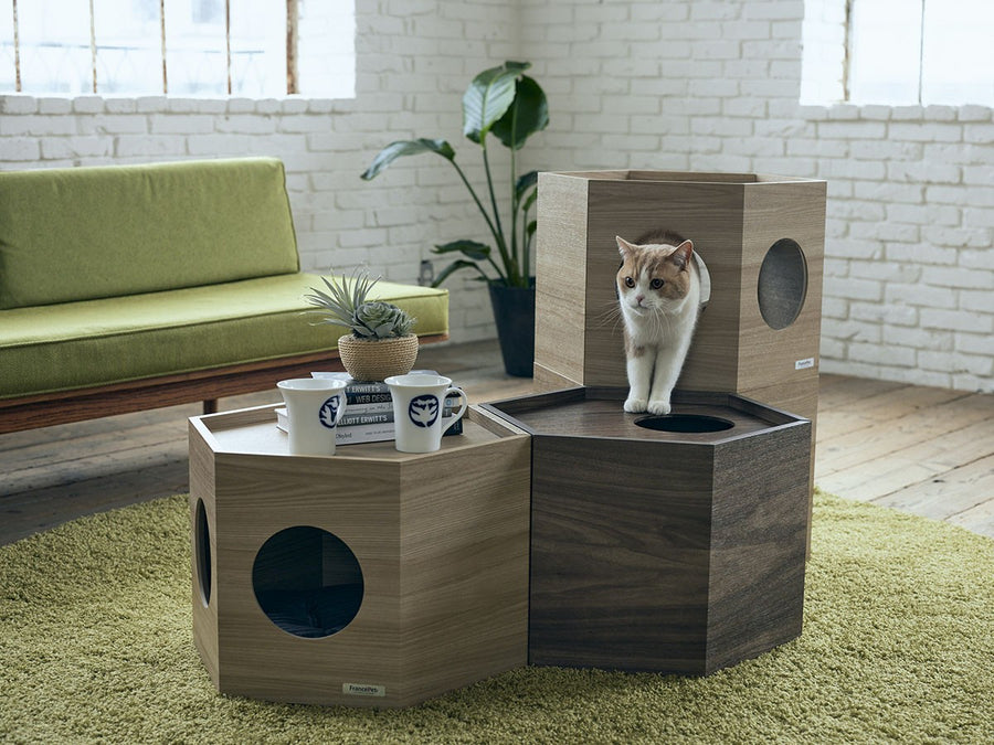 Pet House Hexa