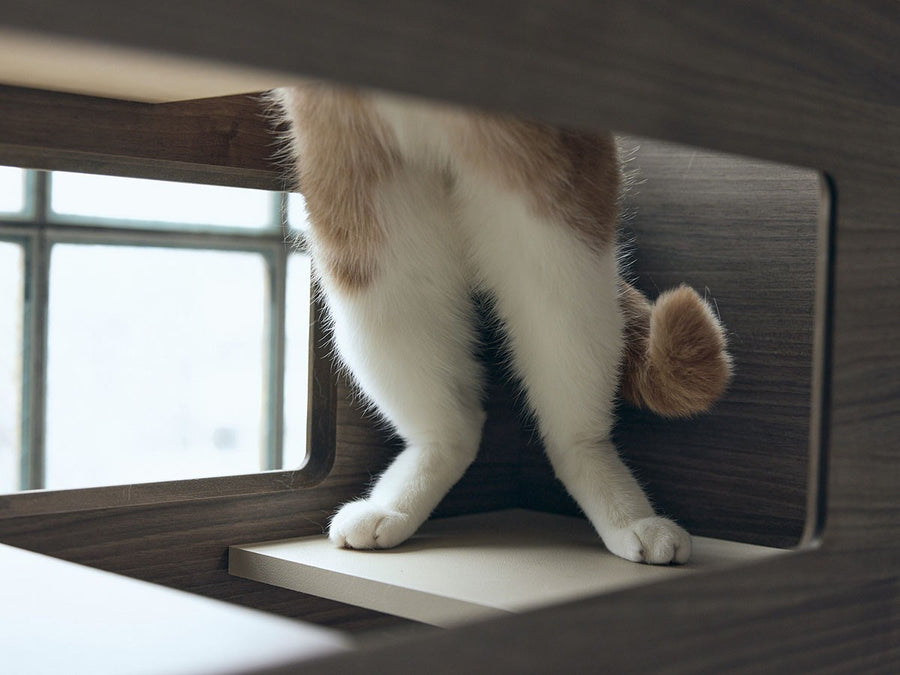 Cat Tower Partition