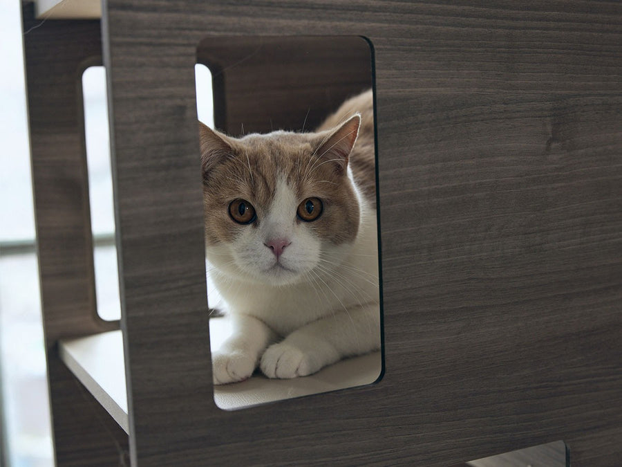 Cat Tower Partition