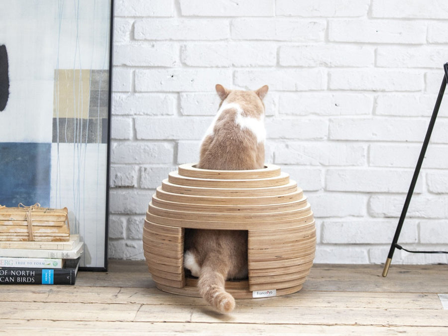 Cat House MARI