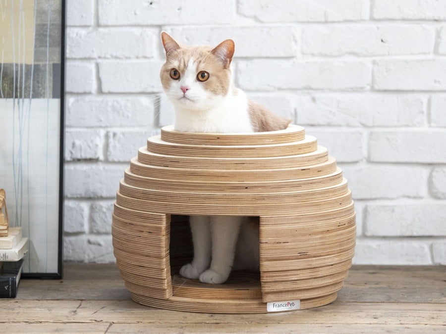 Cat House MARI