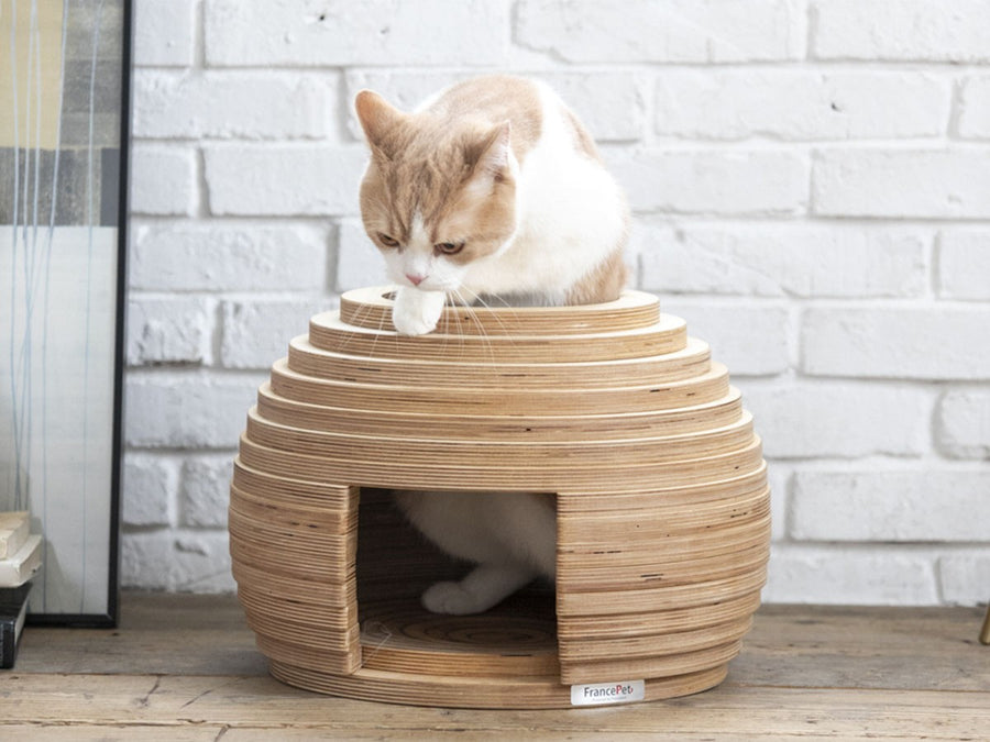 Cat House MARI