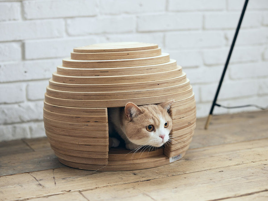 Cat House MARI