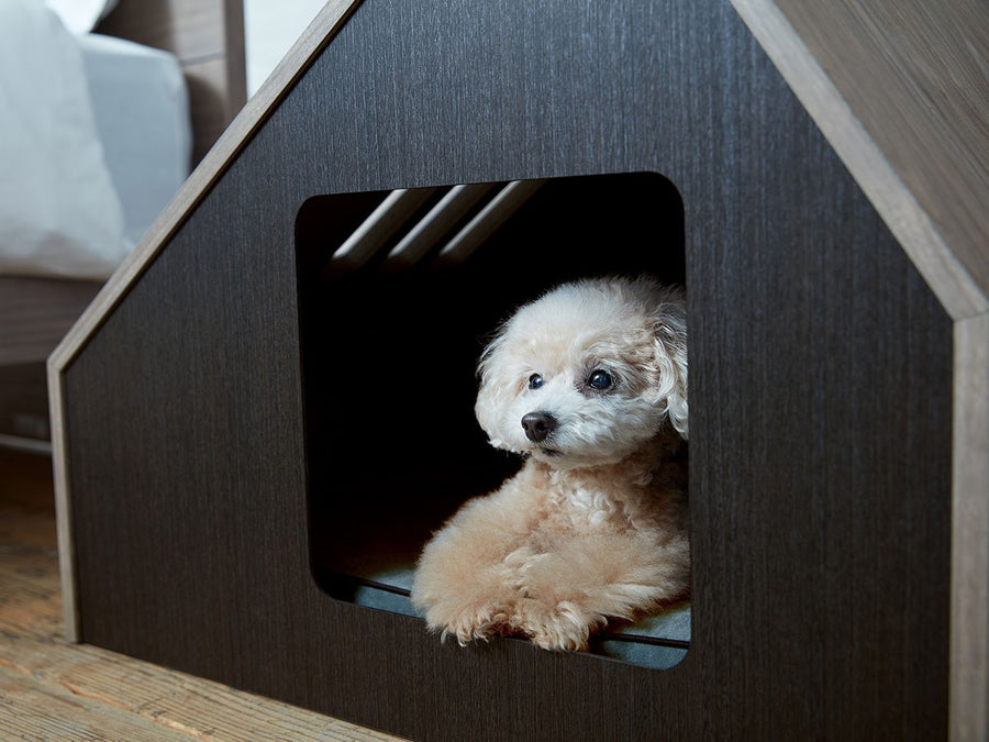 Pet House Sofita inn