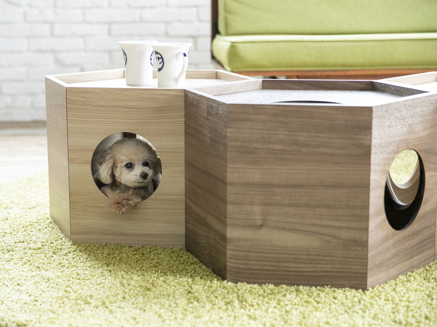 Pet House Hexa