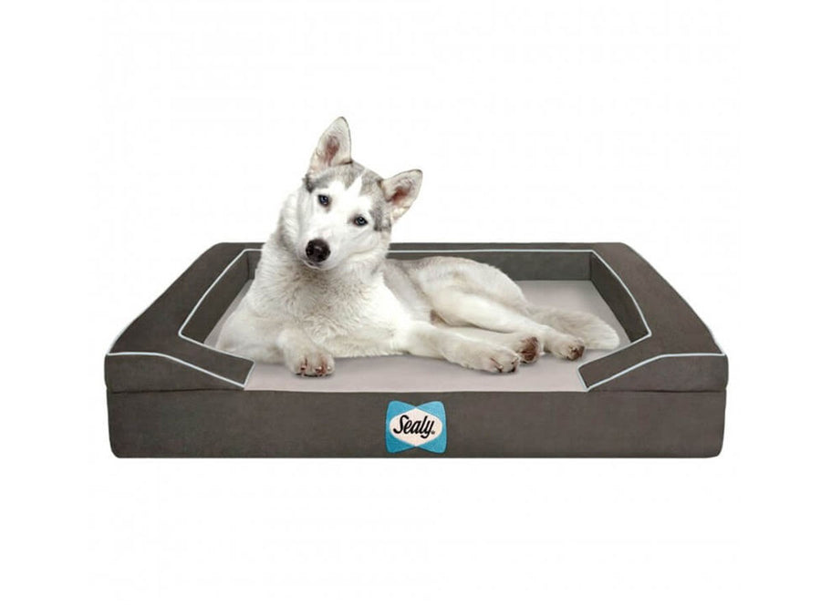 Sealy Dog Bed Lux Premium