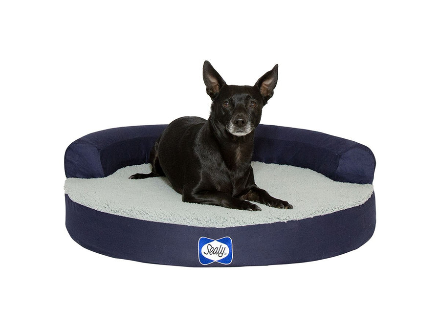 Sealy Dog Bed ZEN