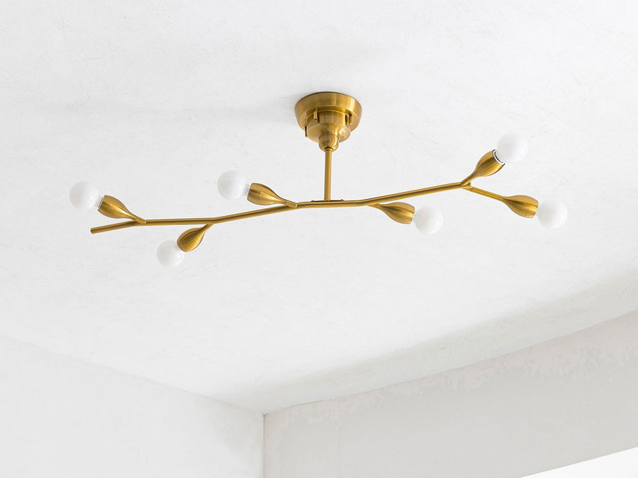 Ceiling Light