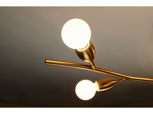 Ceiling Light