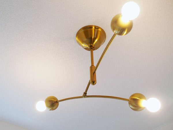 Ceiling Light