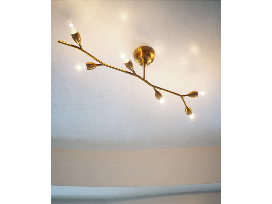 Ceiling Light