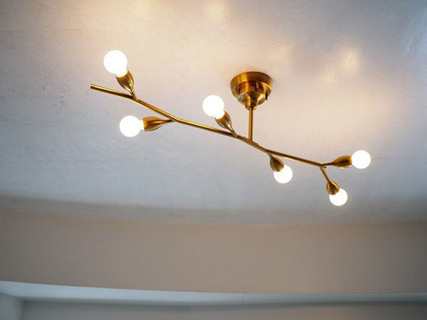 Ceiling Light