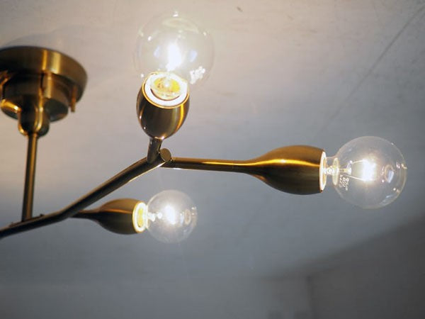 Ceiling Light