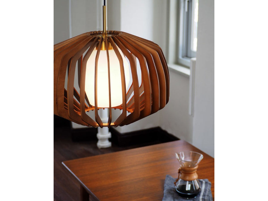 Pendant Light