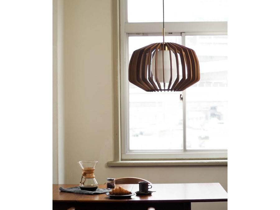 Pendant Light