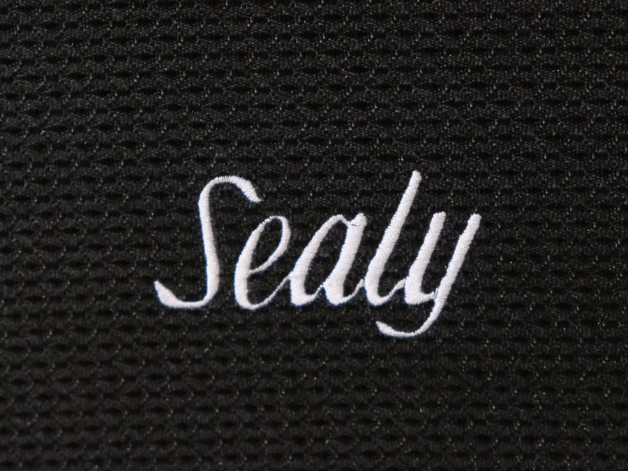 Sealy Mattress MASTERPIECE TT