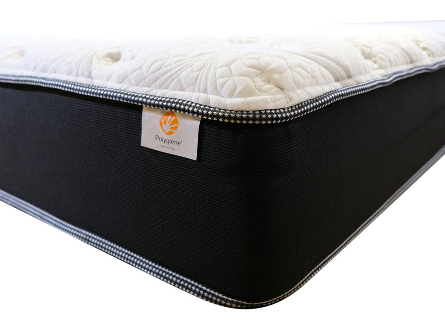 Sealy Mattress MASTERPIECE TT