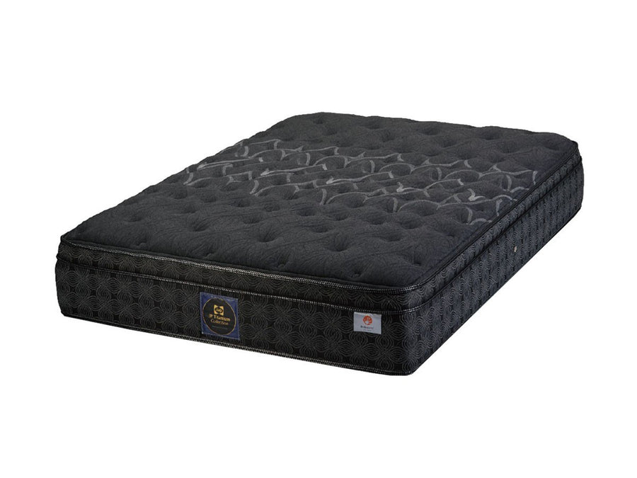 Sealy Mattress Titanium Collection Evans III