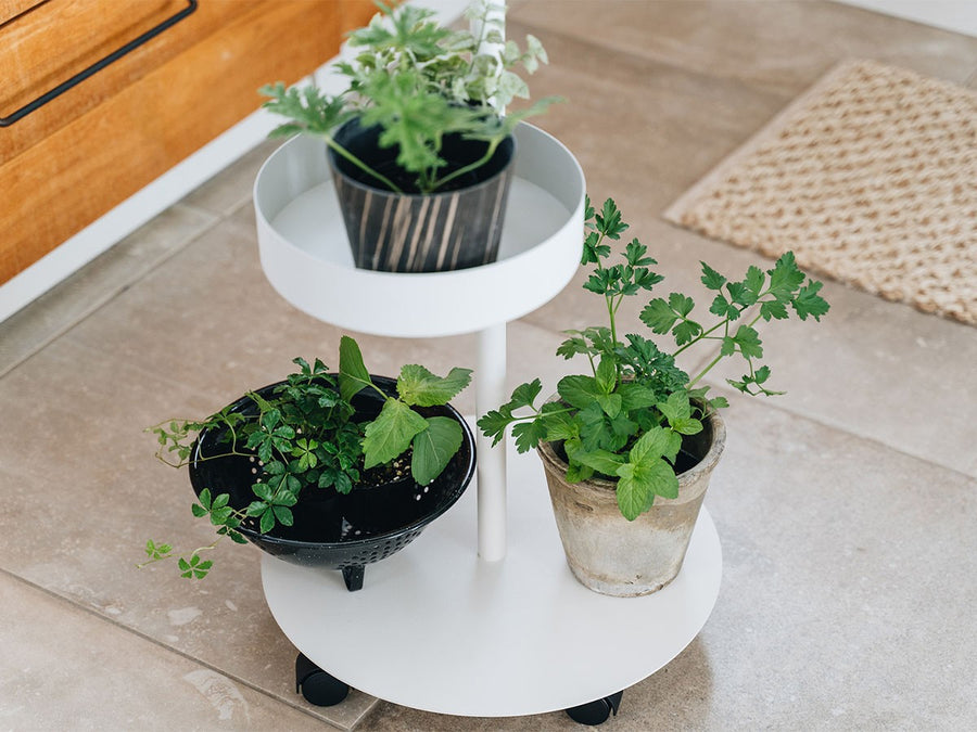 Moving Planter Rack Set