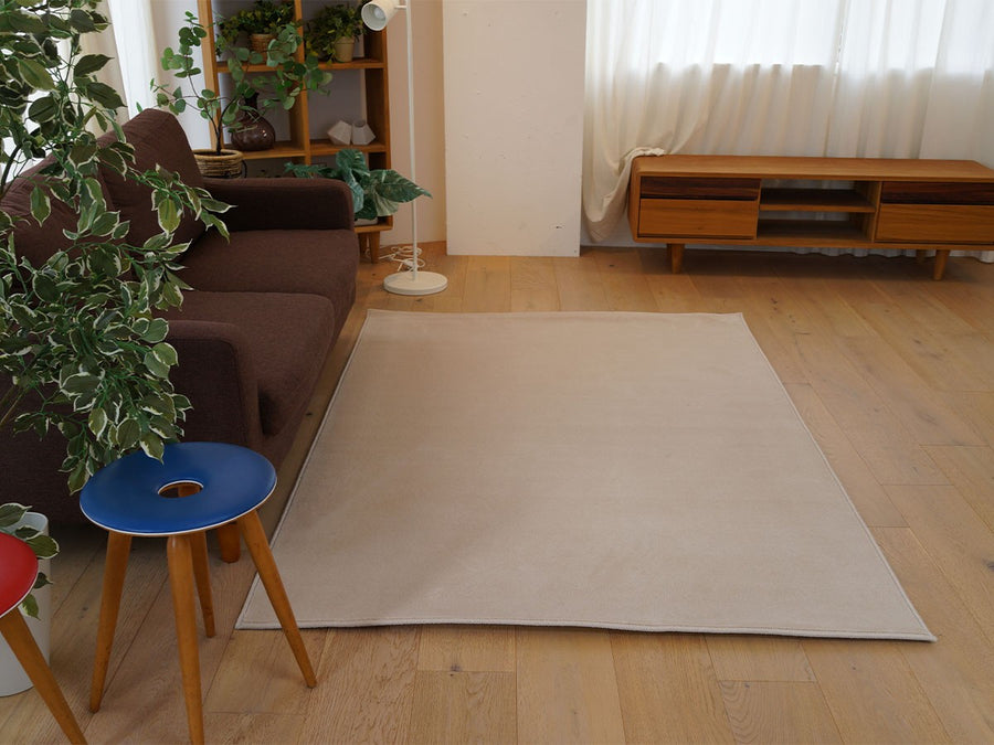 Rug