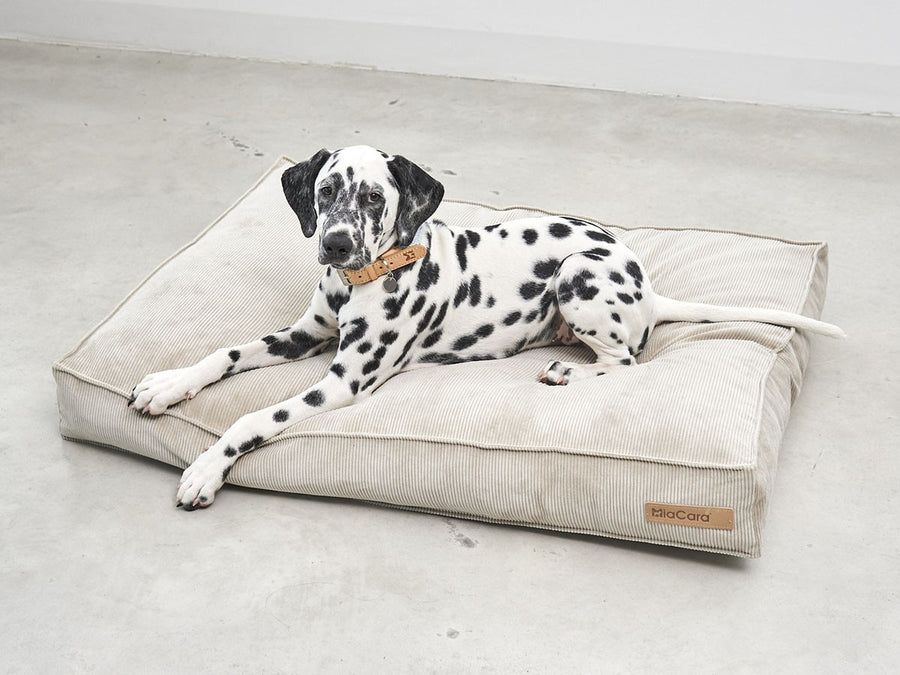 Cordo Dog Cushion