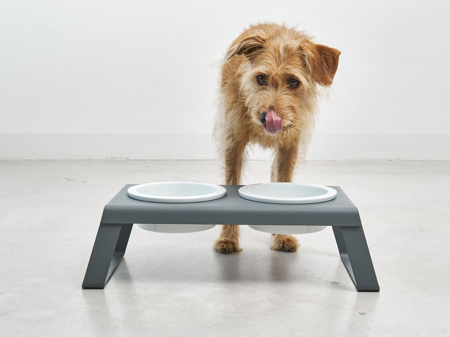 Desco Dog Feeder