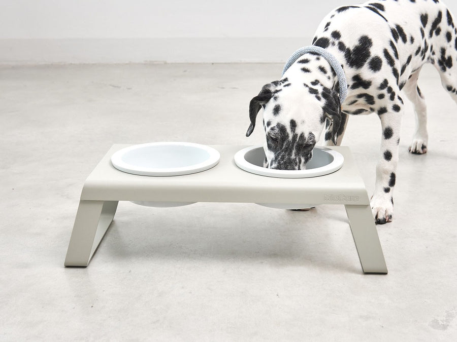 Desco Dog Feeder