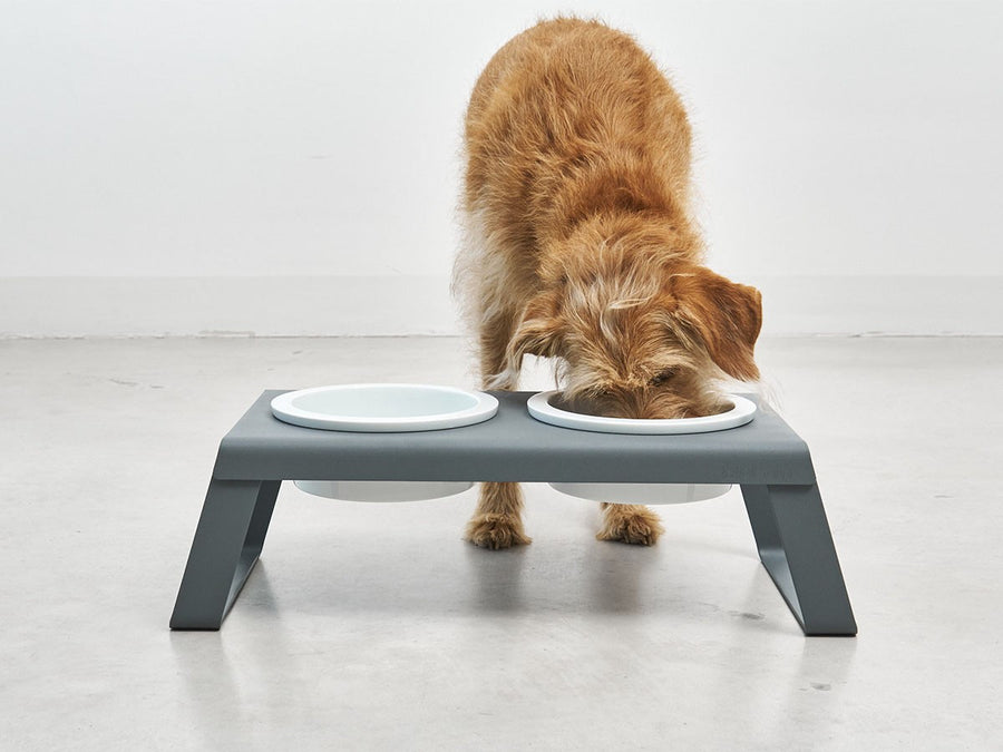 Desco Dog Feeder