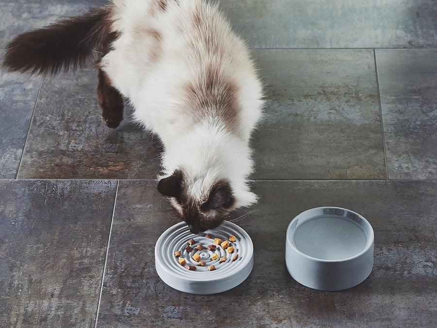 Fresco Cat Bowl