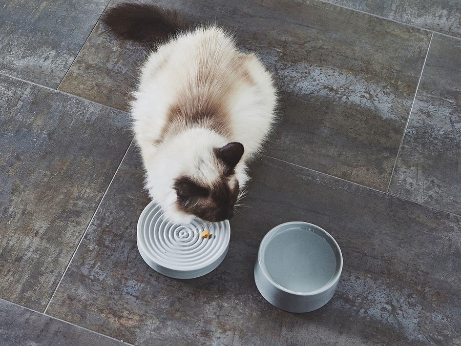 Fresco Cat Bowl