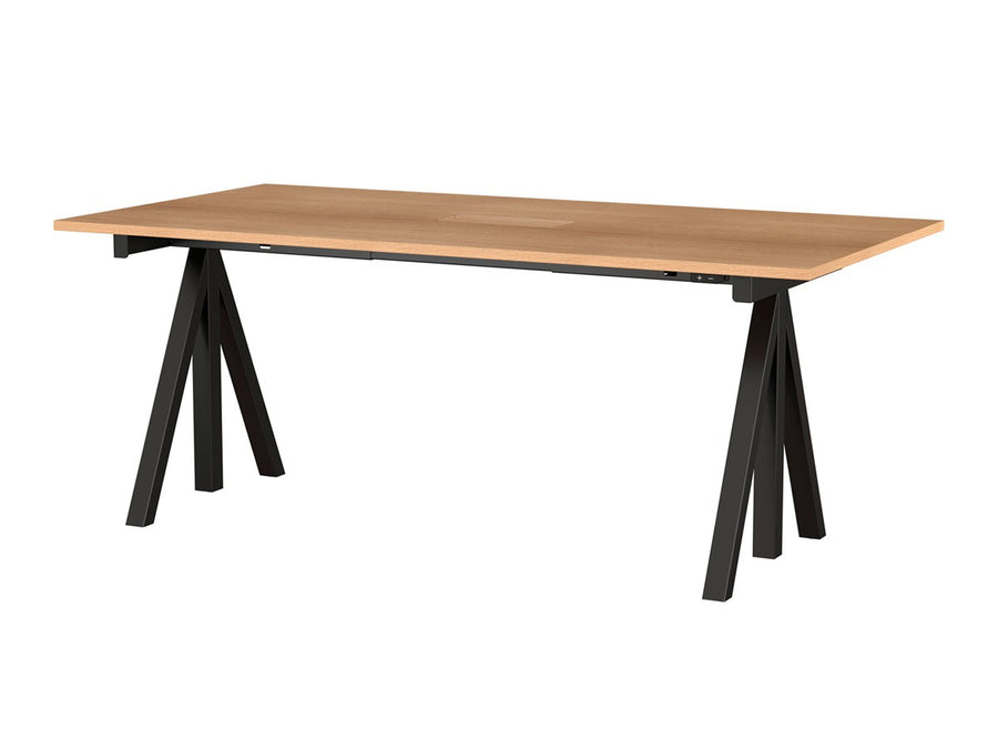 Works Sit-stand Meeting Table / Electrical