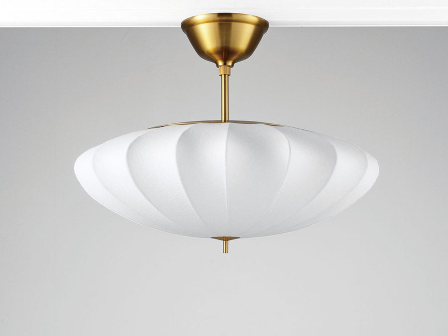 Ceiling Light