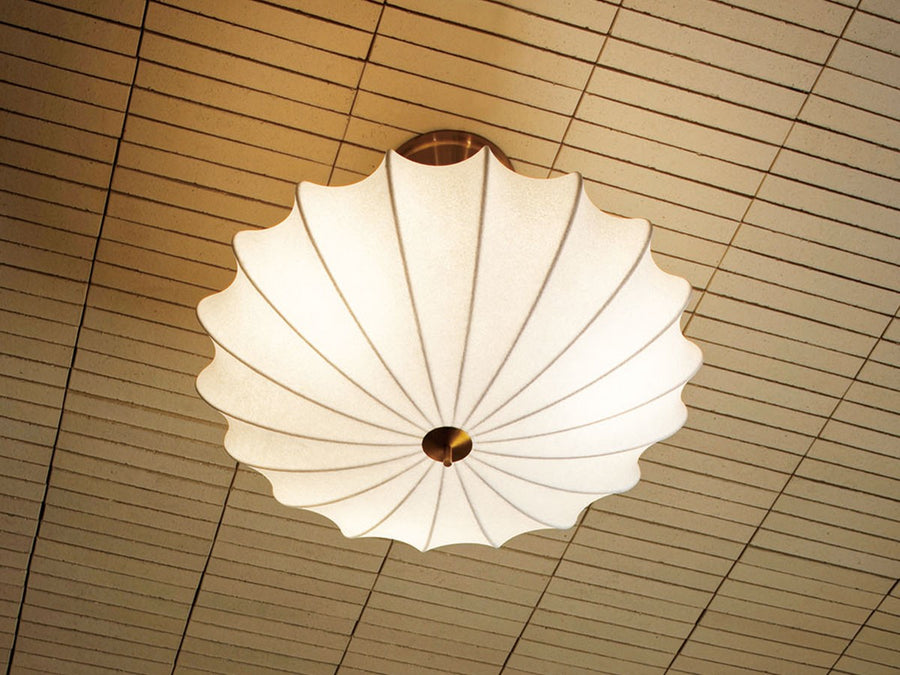 Ceiling Light