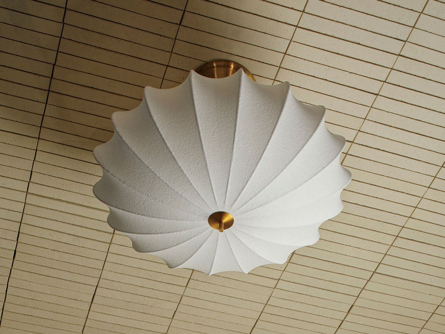 Ceiling Light