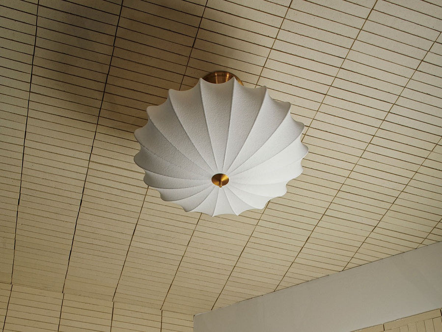 Ceiling Light