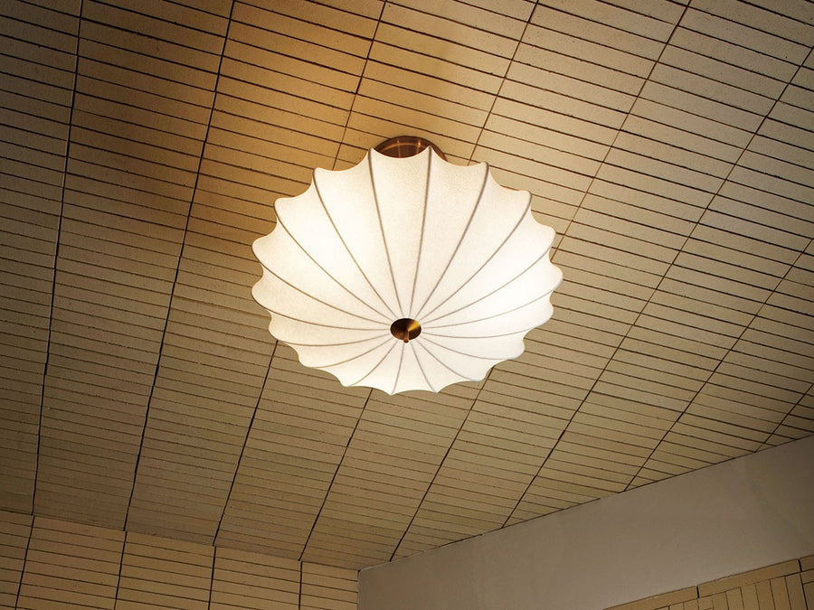 Ceiling Light