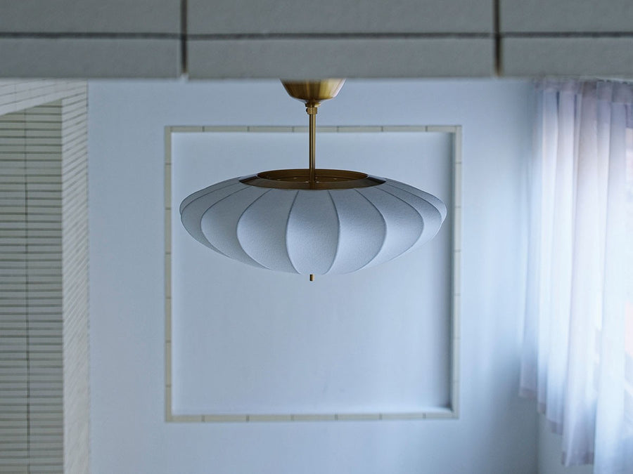 Ceiling Light