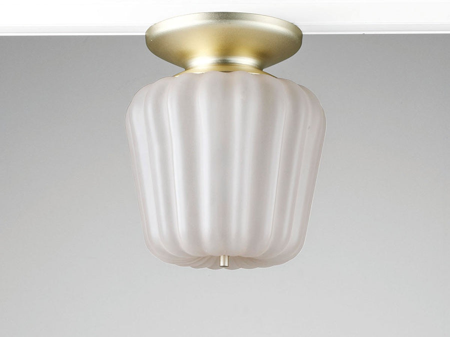 Ceiling Light