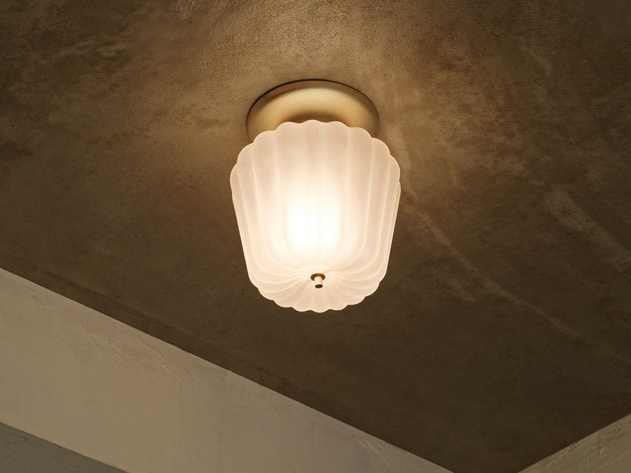 Ceiling Light