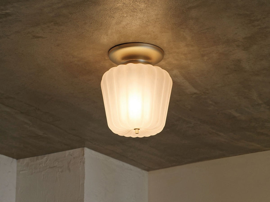 Ceiling Light