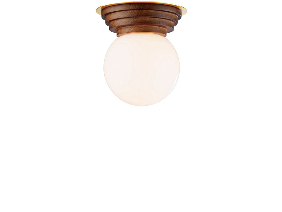 Ceiling Light